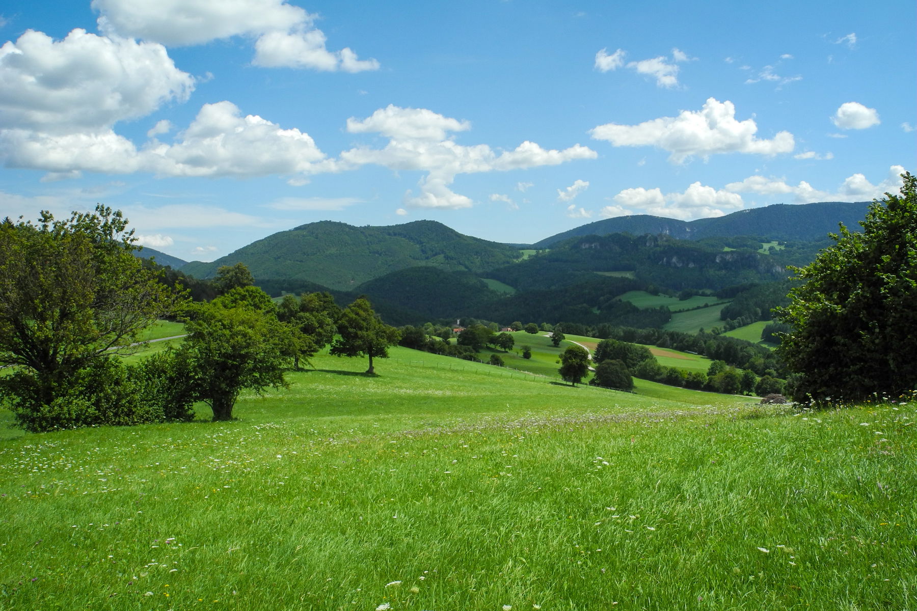 Geheimtipp in den Gutensteiner Alpen: Wanderung von Pernitz über die Ochsenheide und den Kitzberg nach Reichental