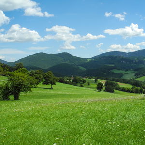 Geheimtipp in den Gutensteiner Alpen: Wanderung von Pernitz über die Ochsenheide und den Kitzberg nach Reichental