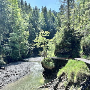 Durch die romantische Finzbachklamm von Wallgau nach Garmisch