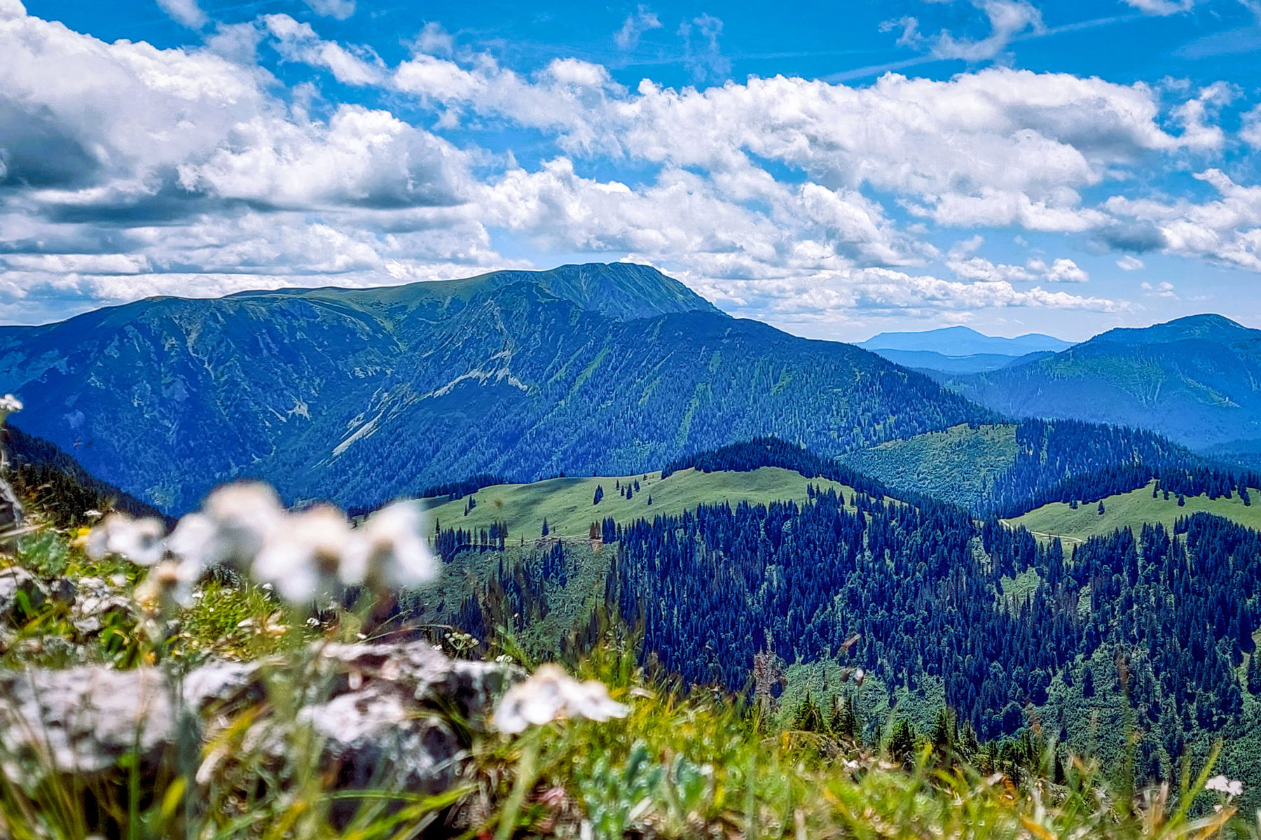 Überschreitung des Aussichtsbergs Tonion in den nördlichen Mürzsteger Alpen