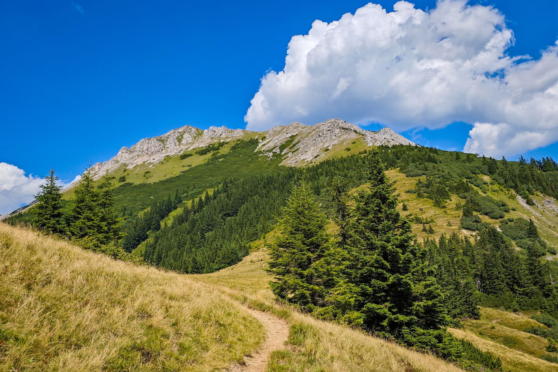 In 2 Tagen über Almen von Seewiesen nach Mariazell