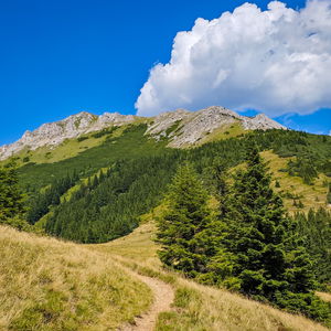 In 2 Tagen über Almen von Seewiesen nach Mariazell