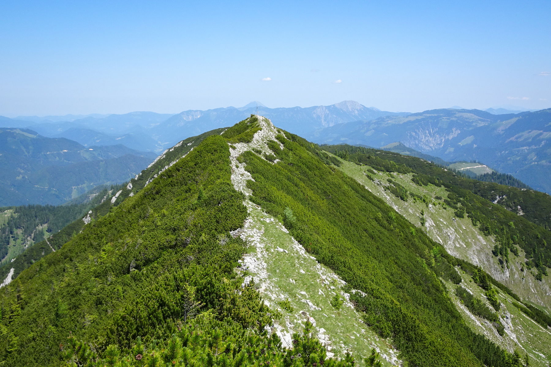 Gamsstein: Tolle Aussicht und Blumenparadies oberhalb von Palfau