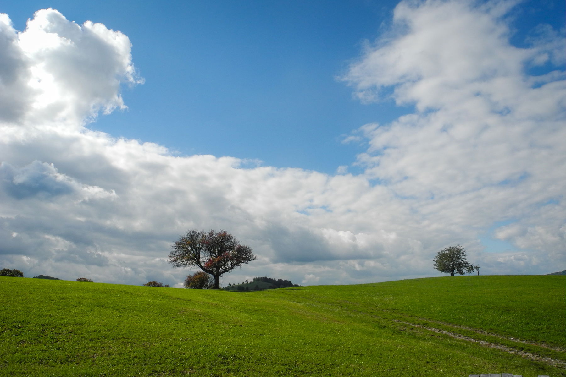 Von der Klammhöhe nach Laaben
