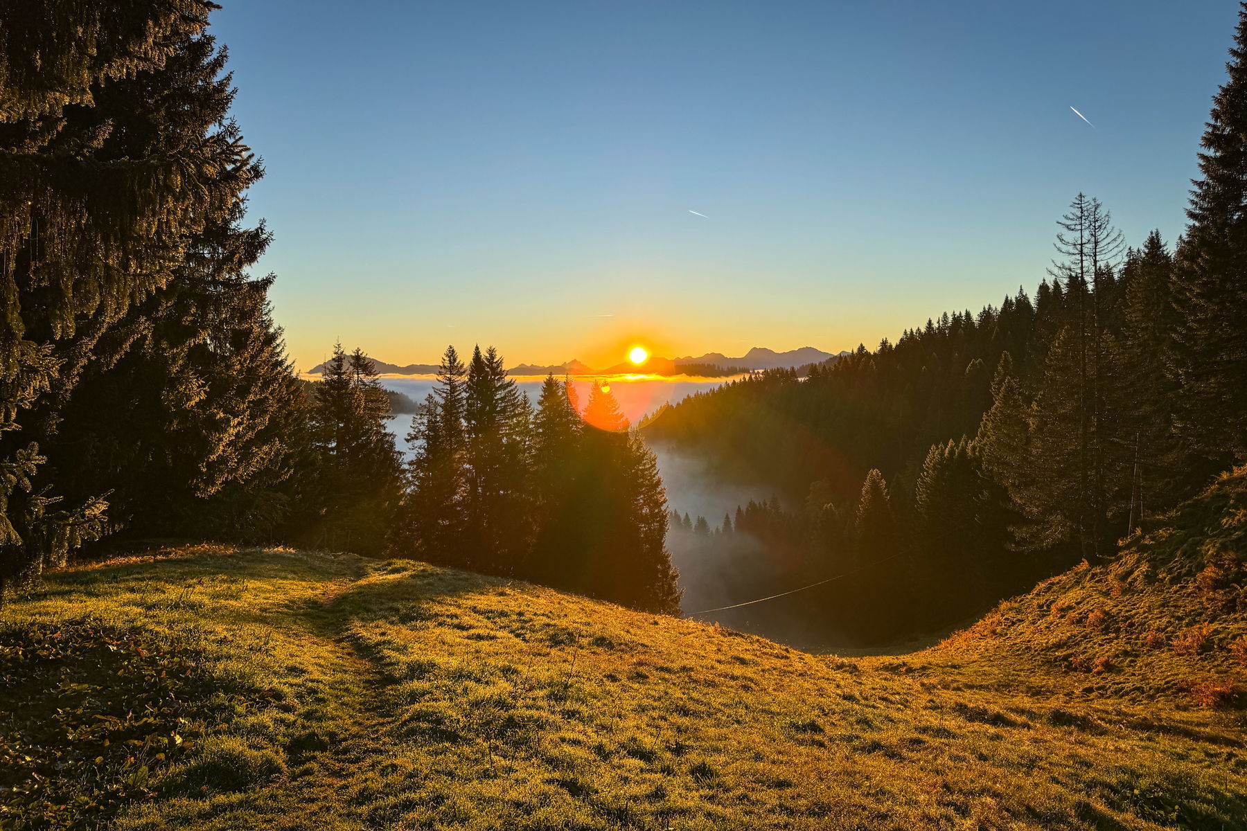Von Immenstadt zum Stuiben mit Übernachtung im Kemptener Naturfreundehaus