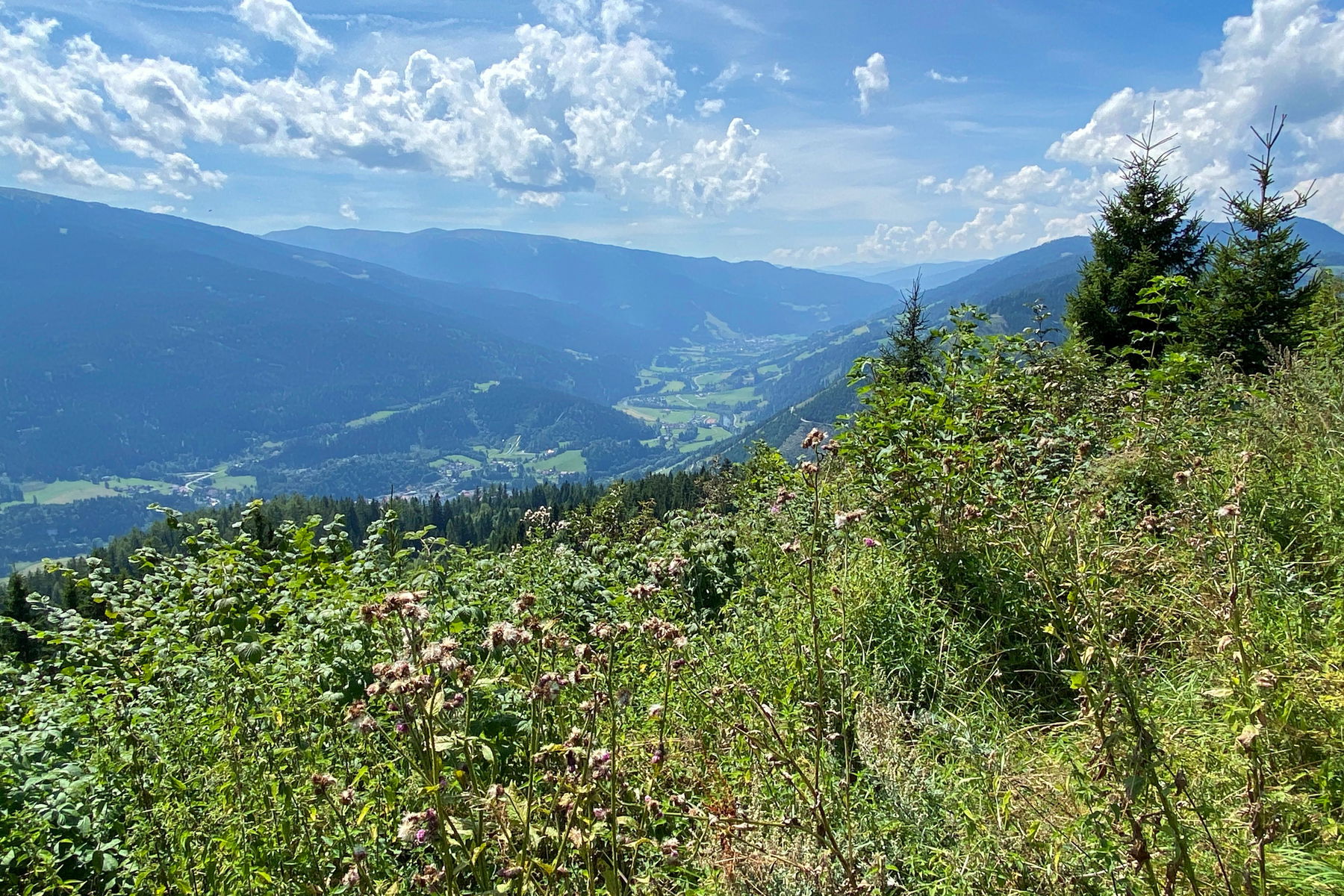 Stolzalpe: Genussvolle Wanderung hoch über der Murtalbahn