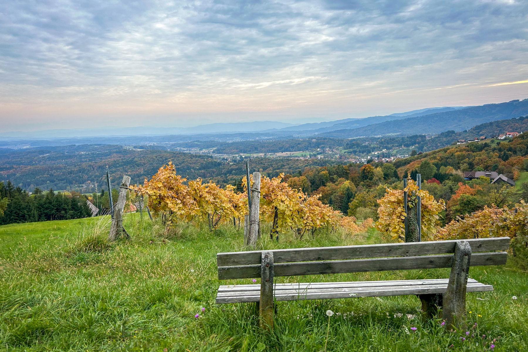 Schilcherweg von Stainz nach Bad Gams