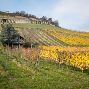 Geheimwege von Heiligenstadt nach Klosterneuburg