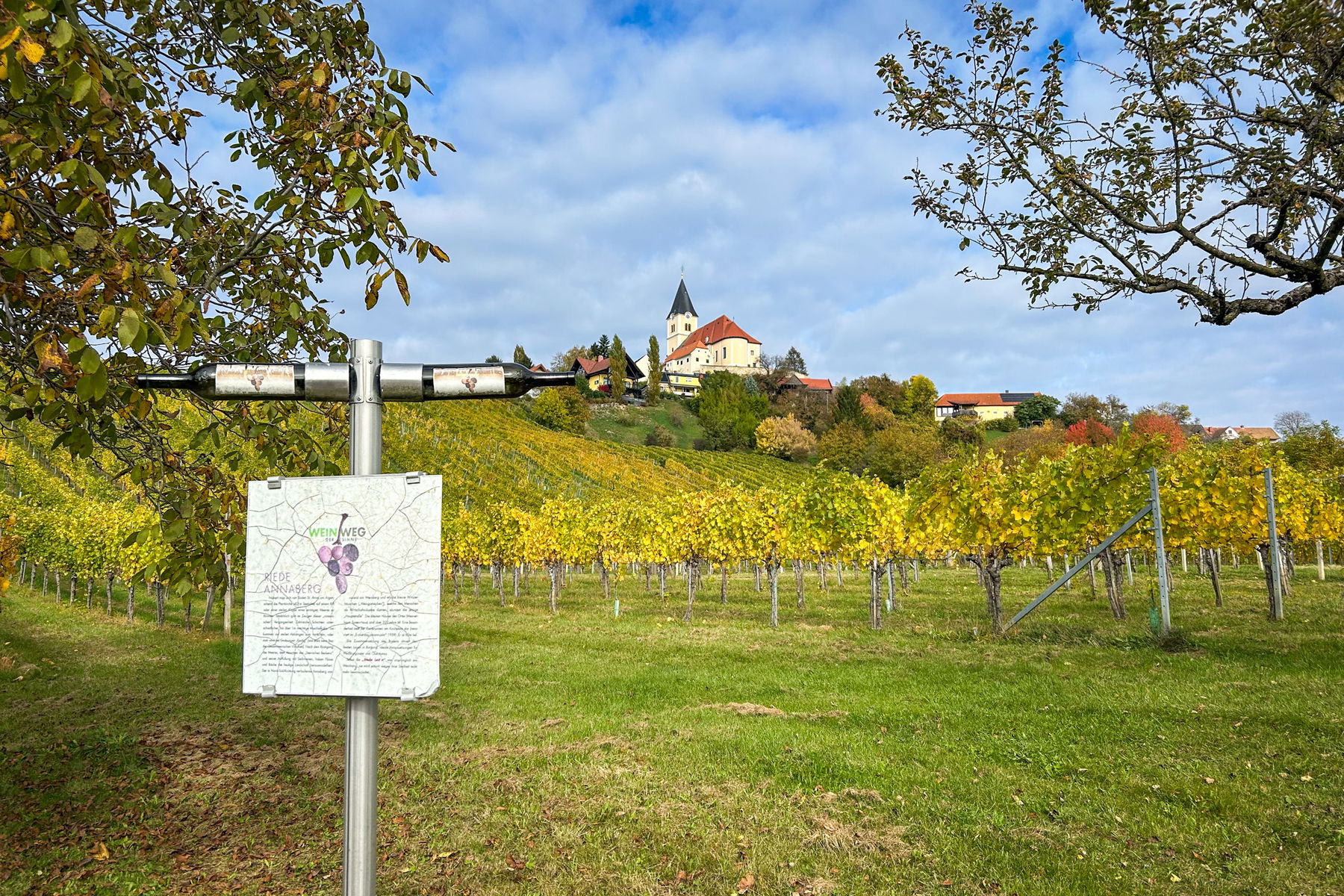 Weinweg der Sinne