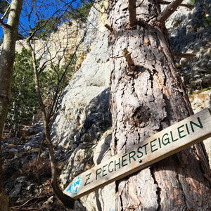Von der Puchberger Bahn auf die Hohe Wand am „Zahmen Pechersteiglein“
