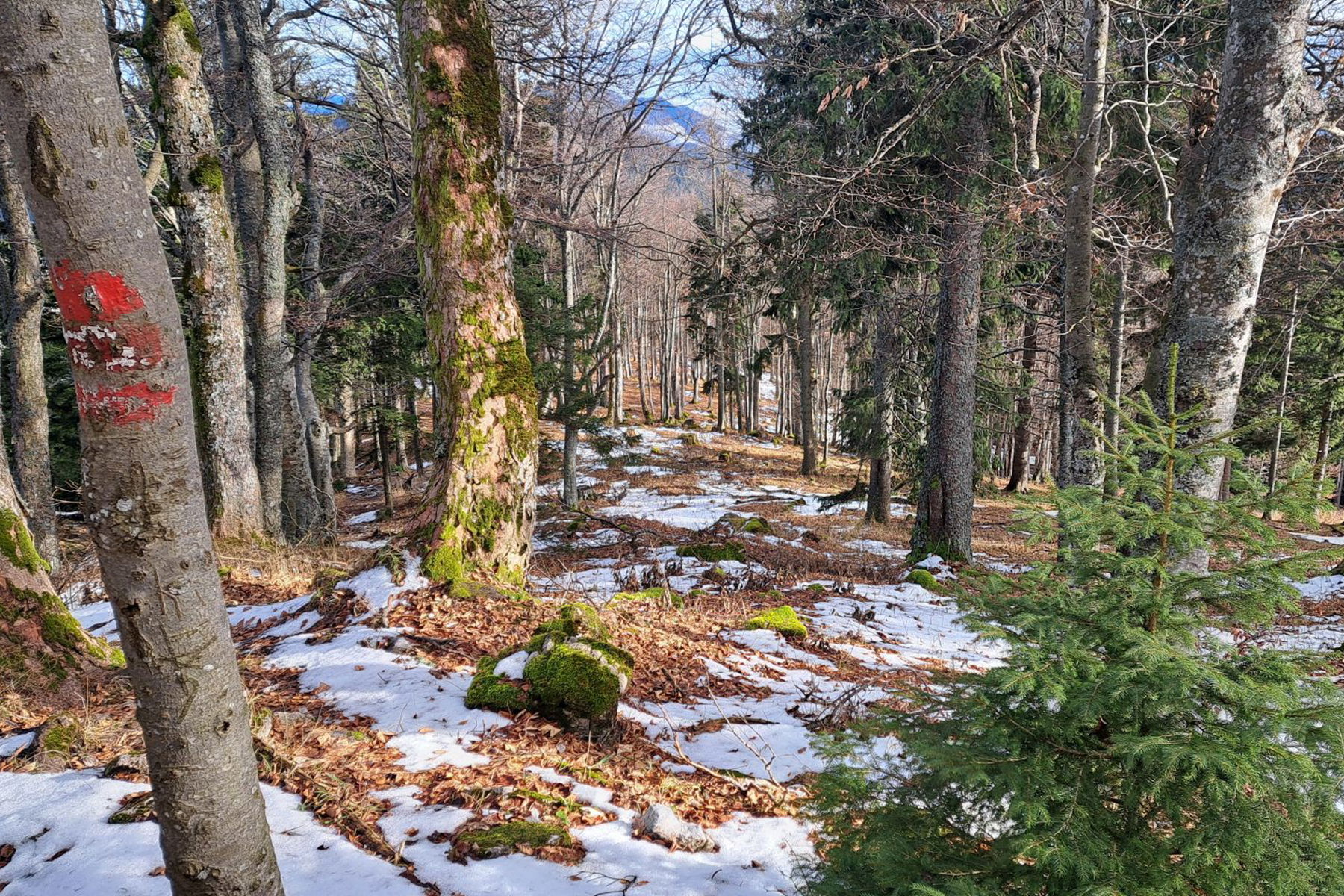 Roter Faden nach Puchberg