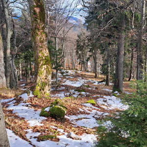 Roter Faden nach Puchberg