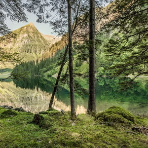 Rund um den Schwarzensee