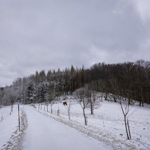 Kleine Pfalzbergrunde: Von Pressbaum zur Wienflussquelle am Kaiserbrunnberg