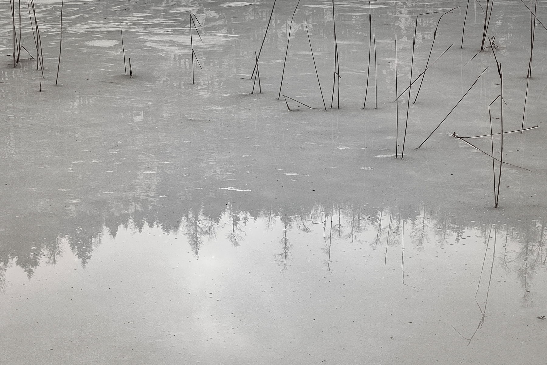 Wurzelgrat und Sonnenbad: Filbling im Februar