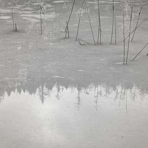 Wurzelgrat und Sonnenbad: Filbling im Februar