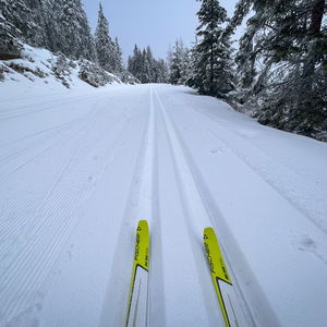 Ein etwas ungewöhnlicher Weg zur Wechsel Panoramaloipe