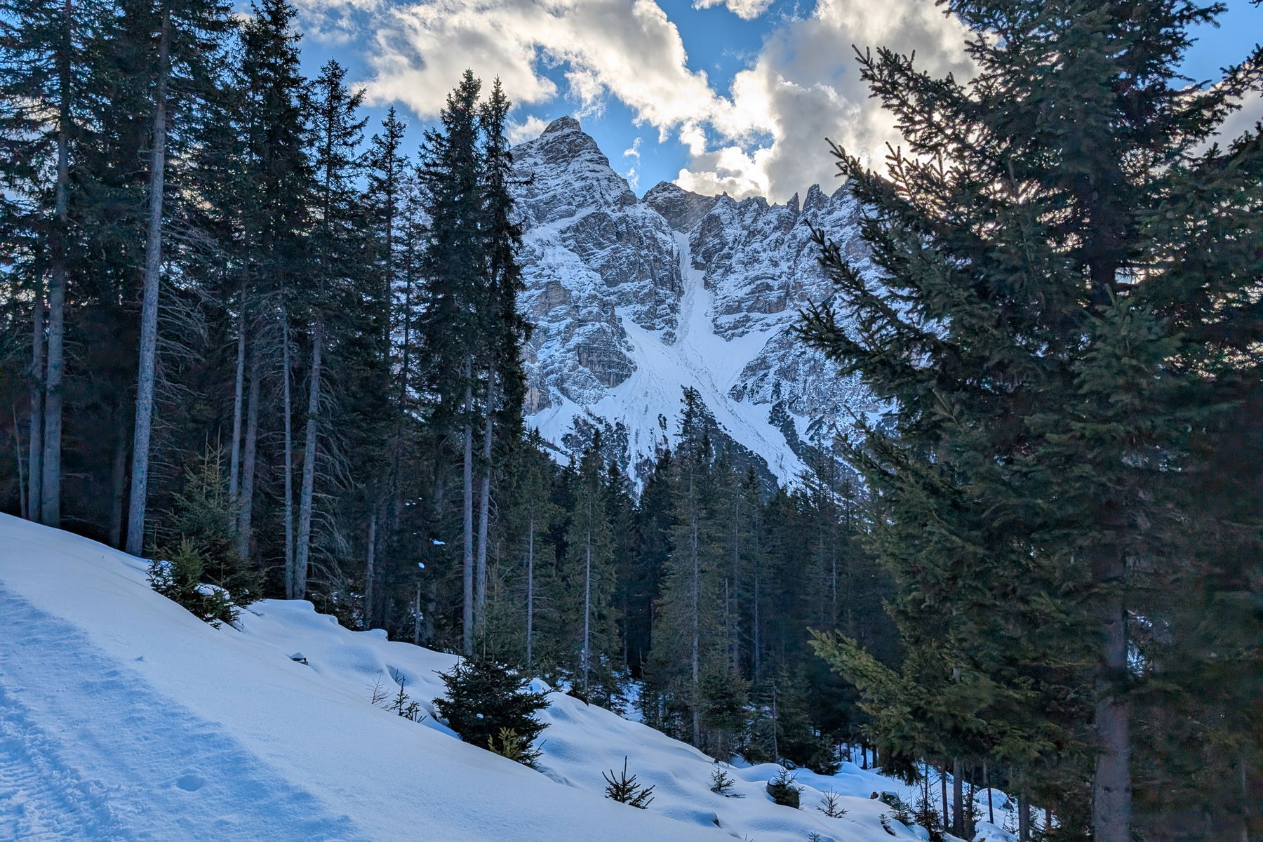 Rodeln in Maria Waldrast