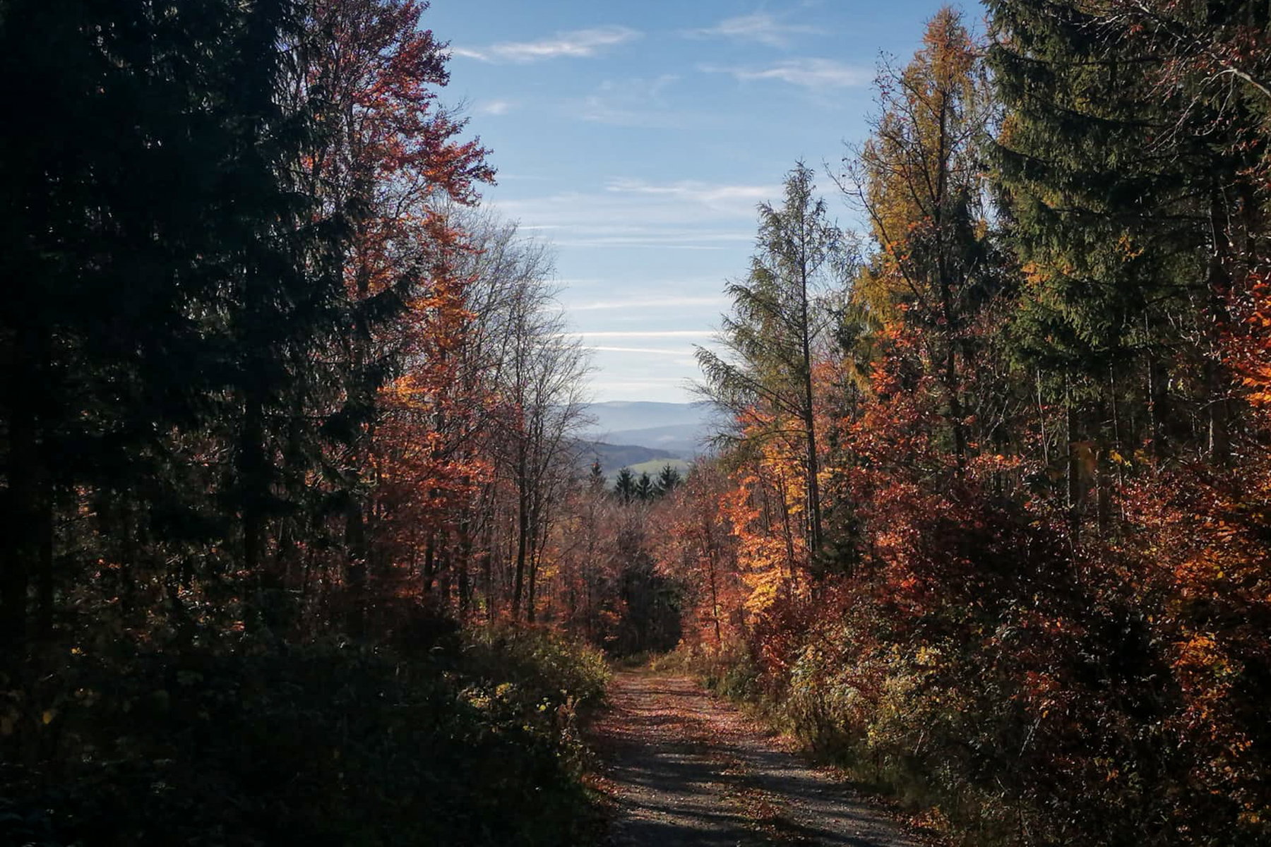 Versteckte Schönheiten auch ohne Gipfelsieg: Von Forchtenstein nach Lanzenkirchen