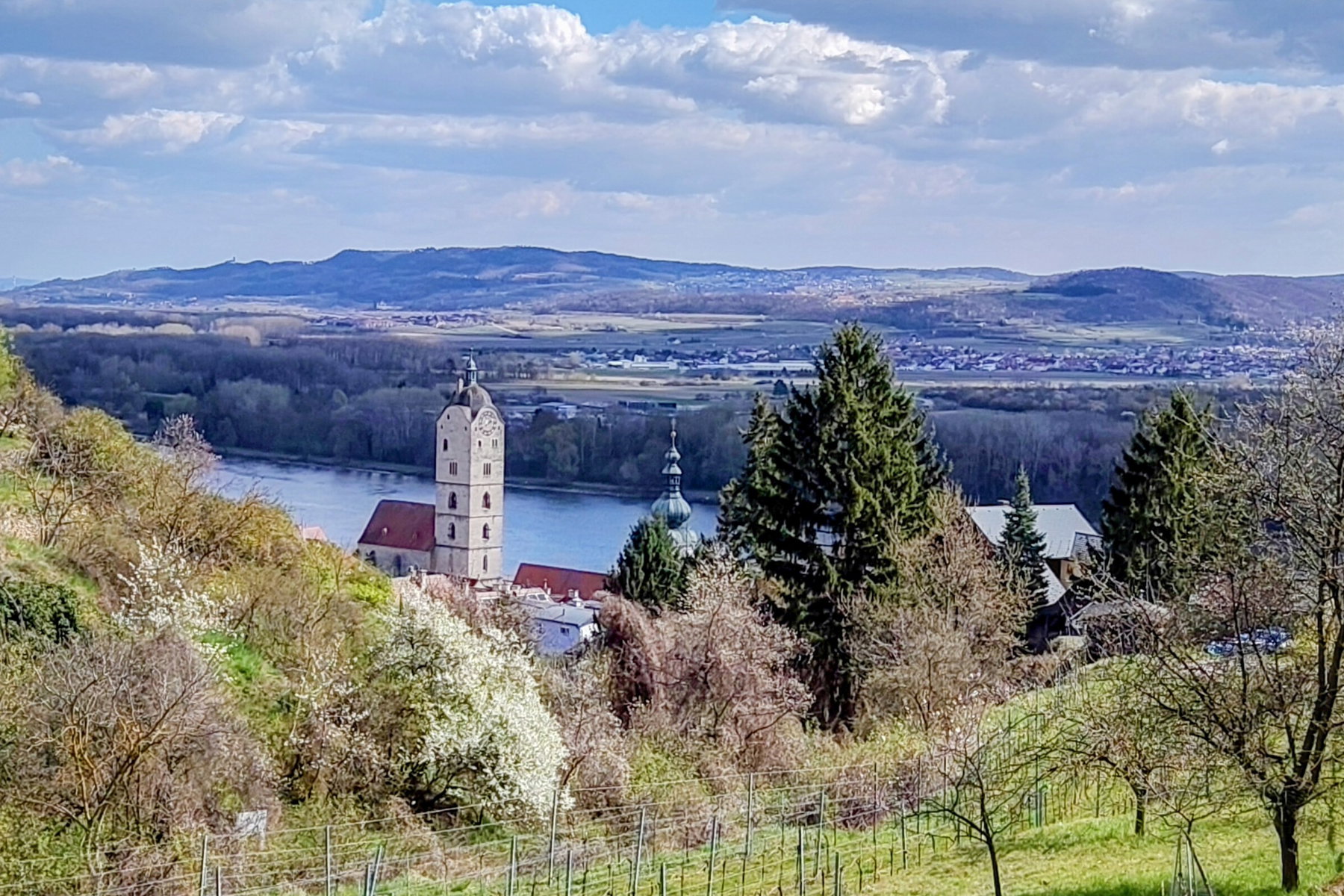 Auf sonnigen Pfaden durch die Kremser Weinberge