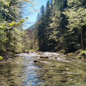 Salza ohne Sau. Unterwegs im Mariazeller Land