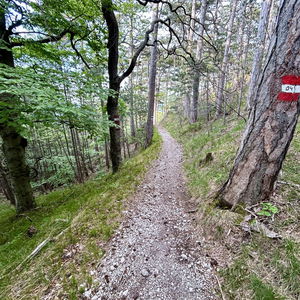 Mailüfterl im Föhrenwald, von Vöslau nach Baden